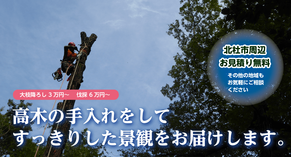 高木の手入れをしてすっきりした景観をお届けします。北杜市周辺お見積り無料その他の地域もお気軽にご相談ください。大枝降ろし 3 万円～ 伐採 6万円～